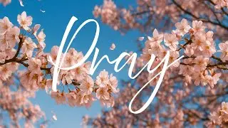 Daily Prayer Music for Peace inspired by Psalm 91 | with Cherry Blossoms and Nature sounds