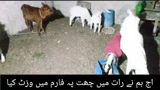 aaj ham na  Raat ma chat pe visit Kiya | chat pe farm | vlog