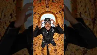 skydiving biriani world  🌎  #vlog #shorts #short #foodvlog #vlog #foryou