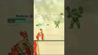 Weakness Policy Moltres SWEEPS Pokemon Showdown