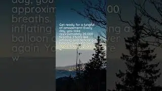 Breathing Wonders: 20,000 Breaths a Day!