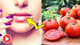 7 Home Remedies For Sunburned Lips