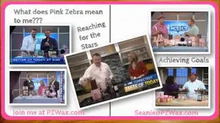 Pink Zebra Review | How to Succeed with Pink Zebra (MUST SEE) from Pink Daddy