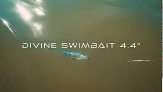 NEW 6th Sense 4.4