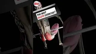 Упражнение №1 для ягодичных мышц, основанное на научных данных