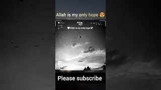 allah is my only hope 😍 #shorts #islamicstetus #islamicshorts #tareeqjamel