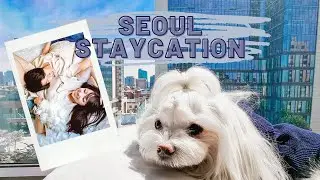 Pet Friendly Luxury Hotel in Seoul