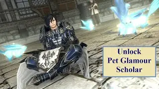 Final Fantasy XIV - Unlock Pet Glamour Scholar (SCH) - A Faerie Tale Come True