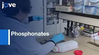 Phosphonates Adsorption onto Granular Ferric Hydroxide | Protocol Preview