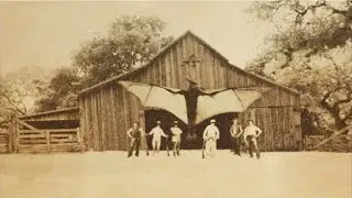 A Batty Thunderbird Photo