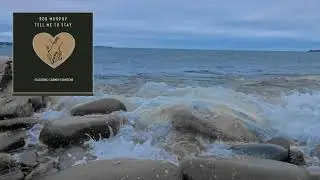Tell Me To Stay (feat. Carmen Townsend)