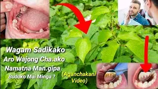 Wagam sadikako aro wajong cha.ako namatna man.gipa buduko mai minga/ Aganchakani video