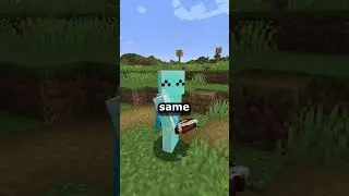 Minecraft Items that should be Placeable