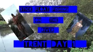 STICK FLOAT FISHING on the river trent #floatfishing how to stickfloat fish #newbeginingsfishing