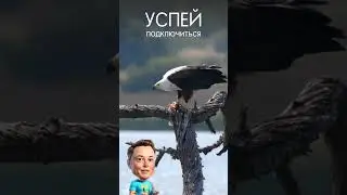 #xmpire hero851897341