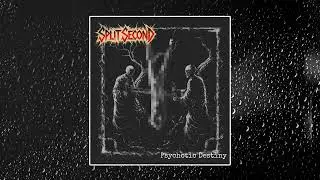 Split Second - Psychotic Destiny (Single) [2025 Hardcore / Grindcore]