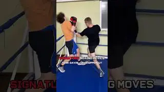 5 Signature Moves of Elite Boxers