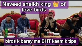 Naveed sheikh mulaqat ma BHT Saray tips btaei,part 2 ,#viral #birdsavairy #foodie #shortvideo 