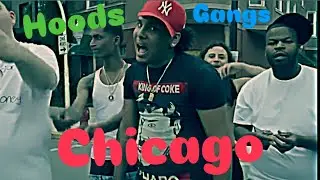 Chicago Murder Capital - 13 Years In A Row