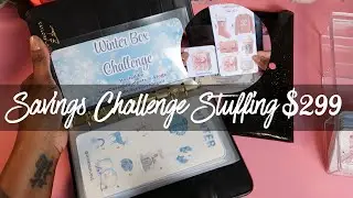 $299 Open & Close Case😏 ❄️Winter Box Challenge❄️ #collab #challenge #cashenvelopesystem 