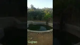 #shorts Bala fort alwar