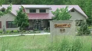 93 Caroline Bed and Breakfast B&B
