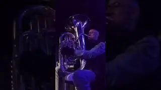 Brasshopper Basslines - Latin Dollar