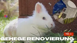 Große Veränderung im Kaninchengehege! Umbau Teil 2 + Haul🛍️🏡