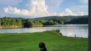 Sunday's Recreation #family bonding #hubbywifeylove #furbaby