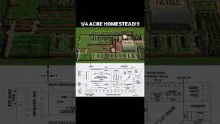1/4 Acre Homestead Plan (Amazing) #homestead #gardening #offgrid #smallfarm