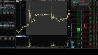 LIVE DAY TRADING SMALL CAPS