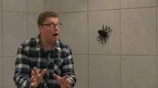 Wat te doen met een spin...??