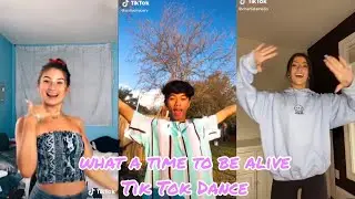 what a time to be alive Tik Tok Dance Compilation