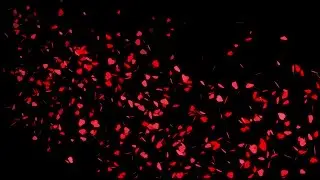 Heart Black Screen Effect | Background Heart Video 2021| Kinemaster Templates Light Black Screen #8