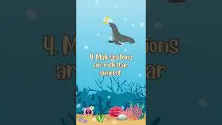 Sea Lion Facts For Kids 🦭🌊 #shorts  #animation #facts #seaanimals