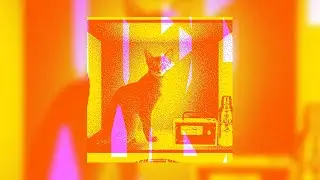 Tal Fussman - Oh, Ok