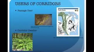 Corridors