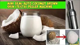 Mini Semi-Auto Coconut Brown Skin (Testa) Peeler Handheld Machine