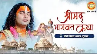 D Live: Shri Aniruddhacharya Ji Maharaj | Shrimad Bhagwat Katha | Vrindavan, Uttar Pradesh