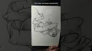 How To Draw: Heart w/ Banner ❤️ Art Tutorials & How To Draw Step by Step Instructions For Beginners