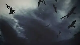 Drive By Wire - Northern Lights [Official Music Video]