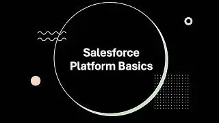 Salesforce User Basics | Beginner Guide to Salesforce CRM | Start Your Salesforce Journey