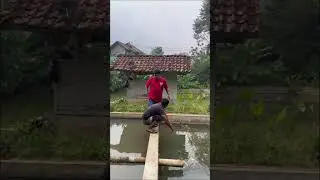 Awas #funny #comedy