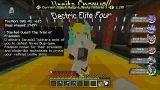 The elite four in poke bedrock is stupid