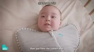 Love to Dream Swaddle UP Review: Is This Sleep Sack Worth It for Your Newborn's Comfort?