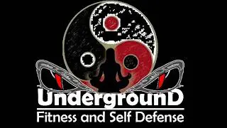 Curriculum guide 3 Bo Staff combo and techniques