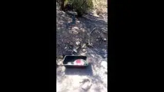 Drywashing for gold in AZ