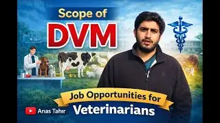 Scope of DVM in Pakistan | Job Opportunities for Veterinarians | Future of DVM