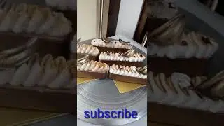 choklet eclair pastry decoration ideas.   Choklet eclair pastry new design