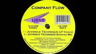 Company Flow &lrm;&ndash; Juvenile Technique (Hip Hop) (1994)